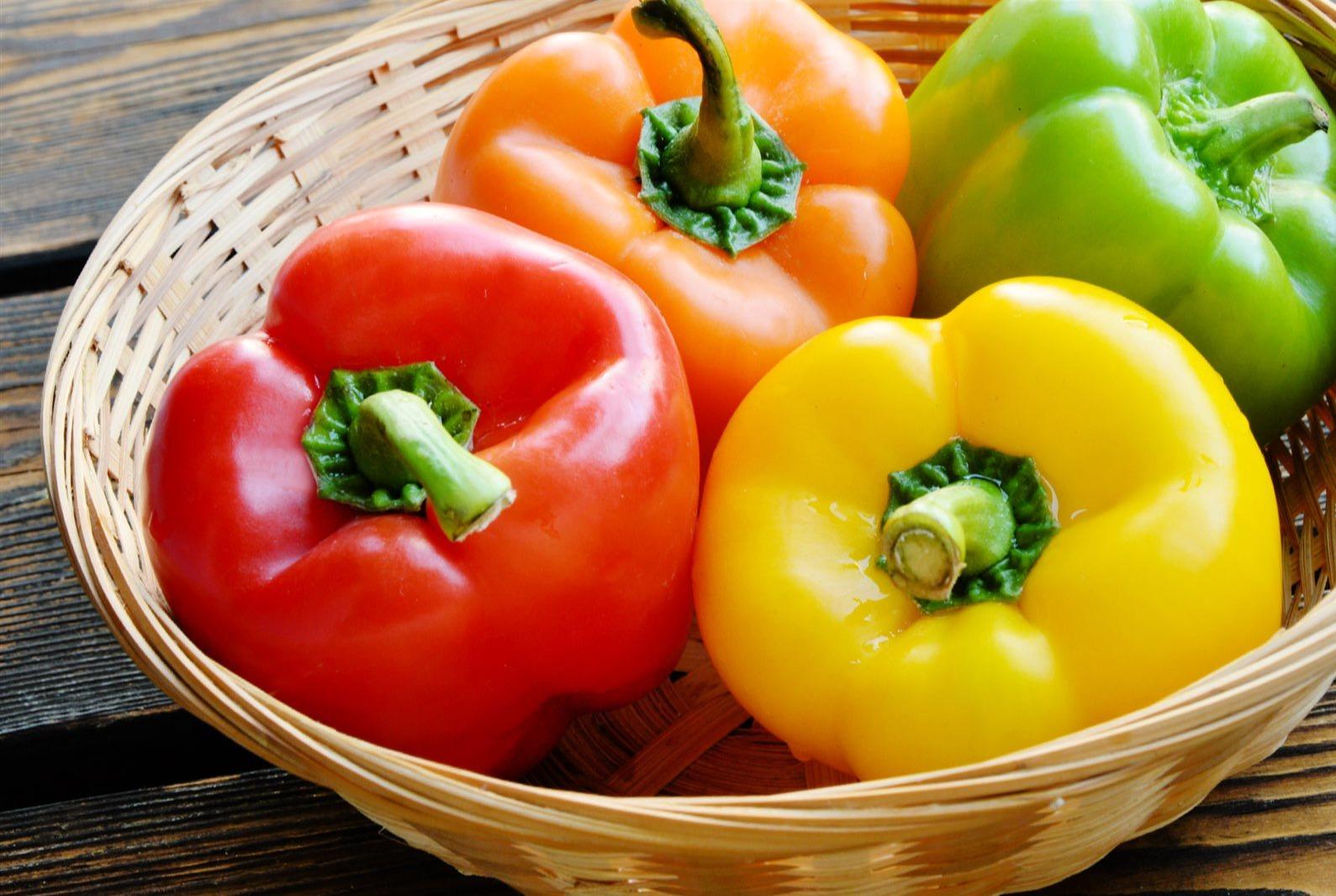 الفيروسات النباتيه(٦) - Cover Image