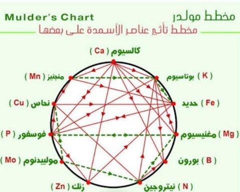 الفيروسات النباتيه(٥) - Cover Image